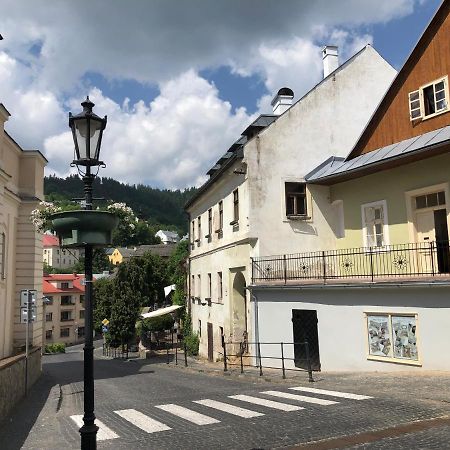 Apartman Vila Rosenberg Банска-Штьявница Экстерьер фото