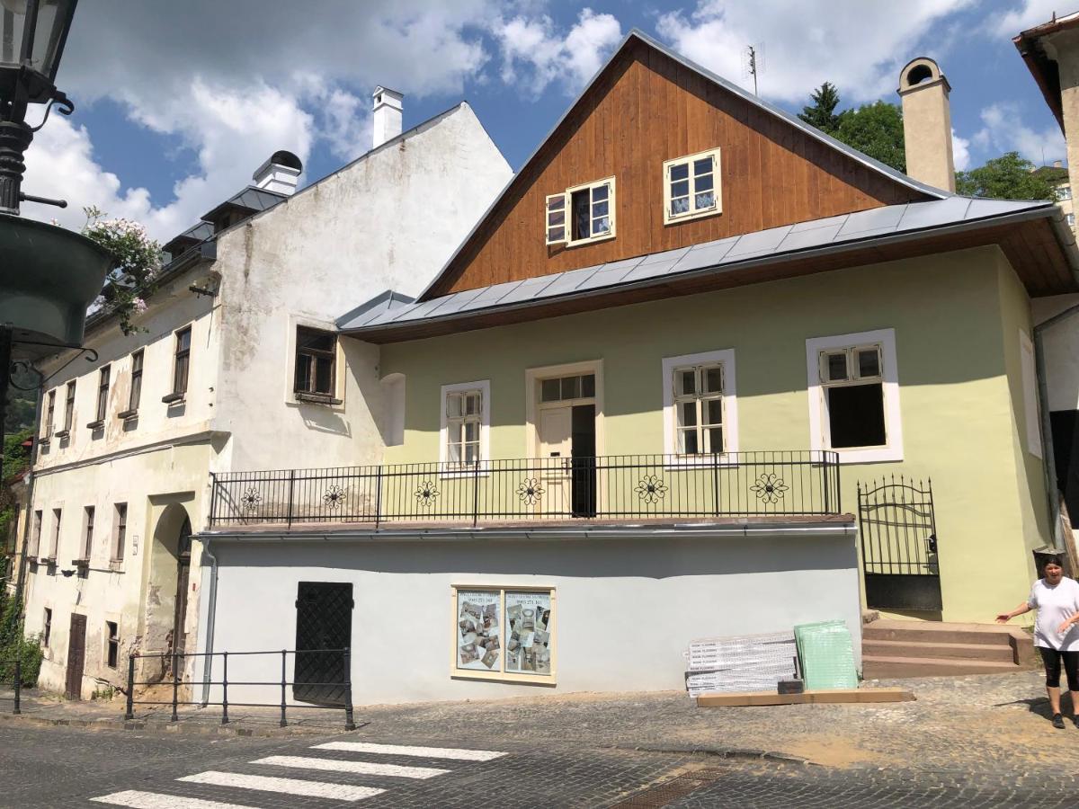 Apartman Vila Rosenberg Банска-Штьявница Экстерьер фото